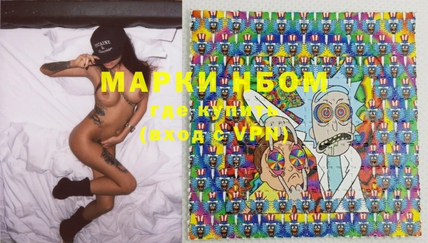 сатива Осташков