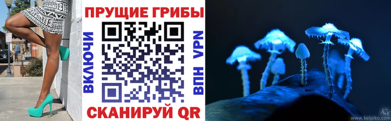мега рабочий сайт  Туапсе  Галлюциногенные грибы мухоморы 